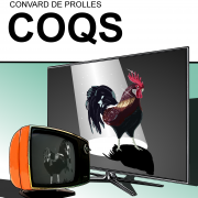CouvCoqs2