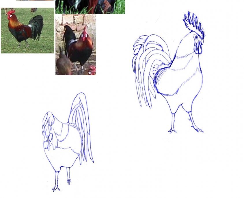 COQSCR1
